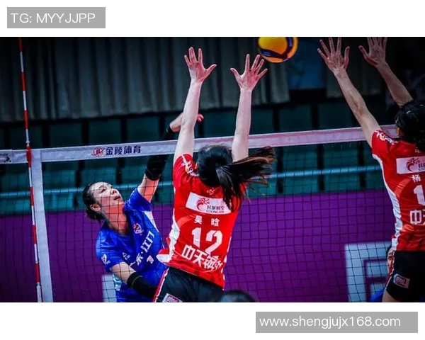 杭州排球队转型之路的真实记录与成长历程探秘