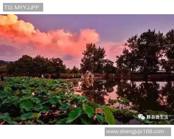 杭州极限运动队在全球耐力排行榜中荣登第七名引发热议