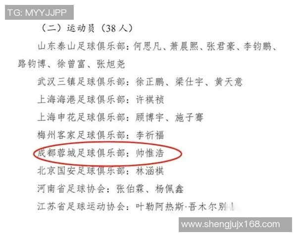 赛后分析：杭州足球队与成都足球队的战术配合与表现评估