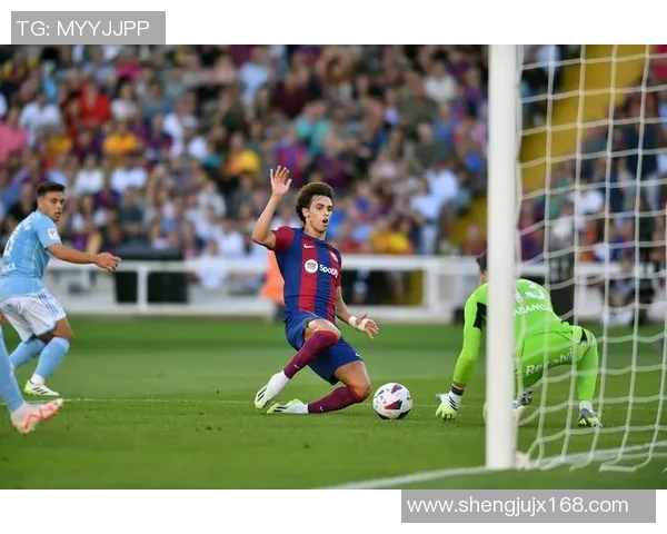 坎塞洛：从边缘球员到足球场上的闪耀明星之路与成长故事