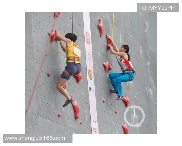 重庆攀岩队的防反体系探讨与攀岩战术创新研究 重庆攀岩队的防反体系探讨与攀岩战术创新研究