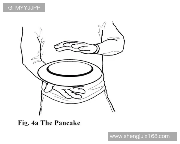 飞盘新手必看：轻松掌握飞盘技巧与状态提升的全面指南